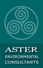 Aster Environmental Consultants